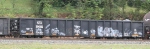 CITX 300132